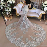 Sexy Sheer Bling  Lace High Neck Illusion Long Sleeve Mermaid Bridal Gowns